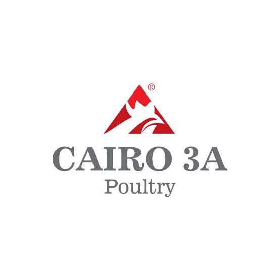 WhatsApp-Image-2024-10-11-at-4.30.02-AM